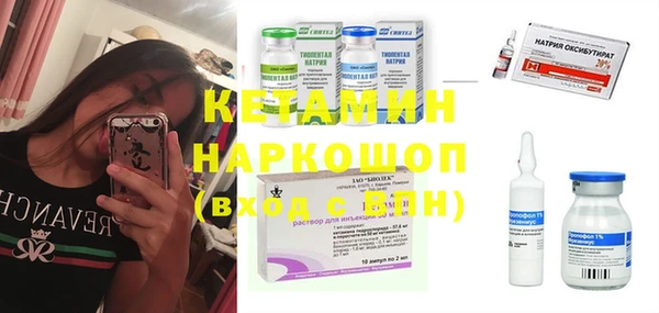 шишки Армянск