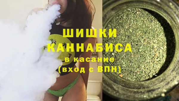 ешки Аркадак