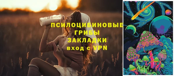 шишки Армянск